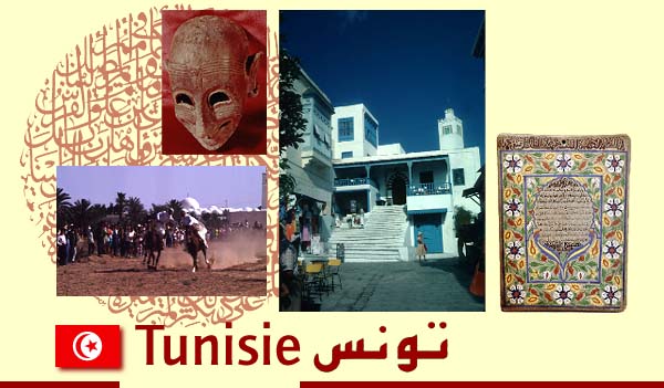 modele plan maison contemporain en tunisie